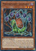 Predaplant Lilizard