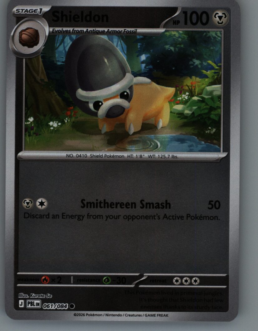 Shieldon