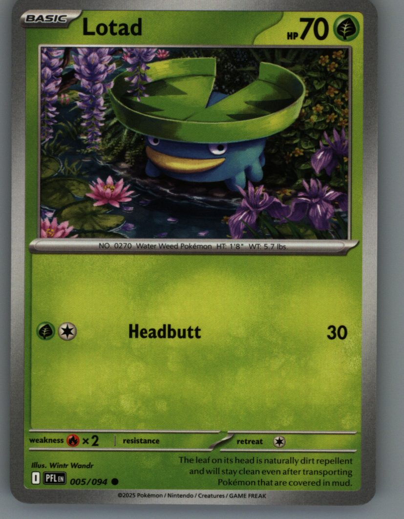 Lotad