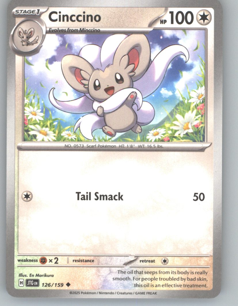 Cinccino