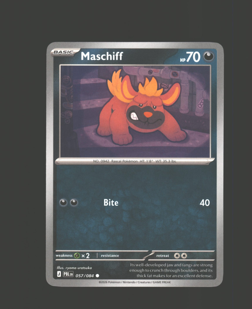Maschiff