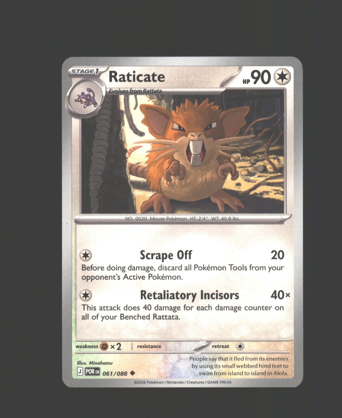 Raticate - 061/088