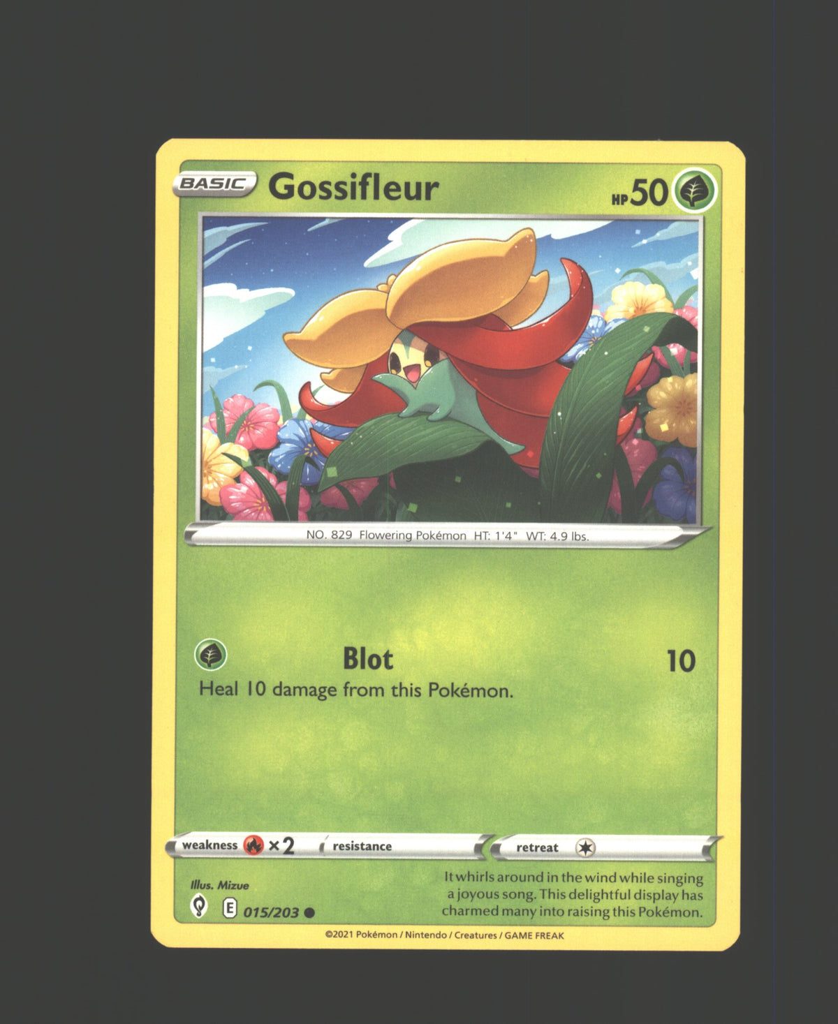 Gossifleur