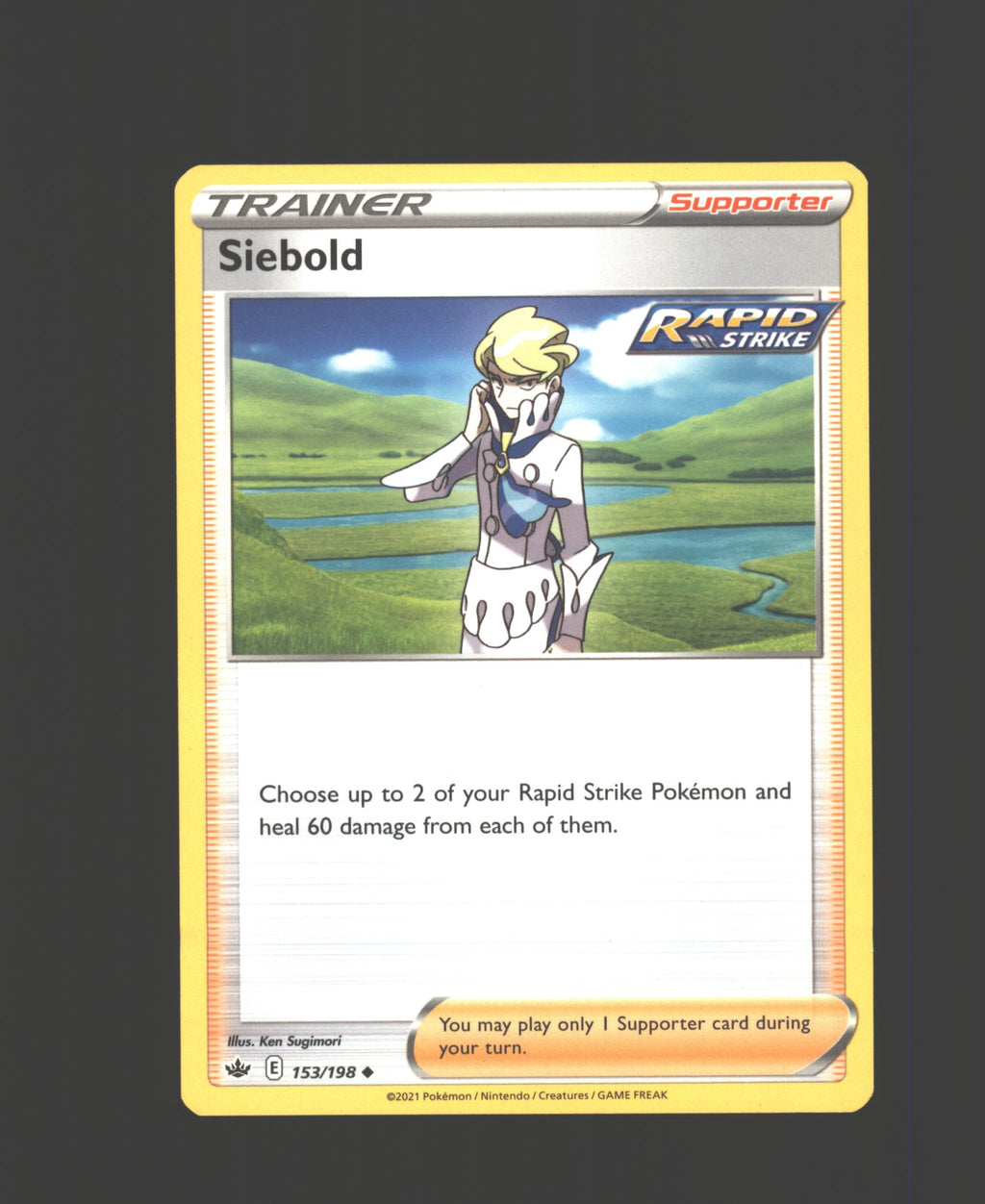 Siebold