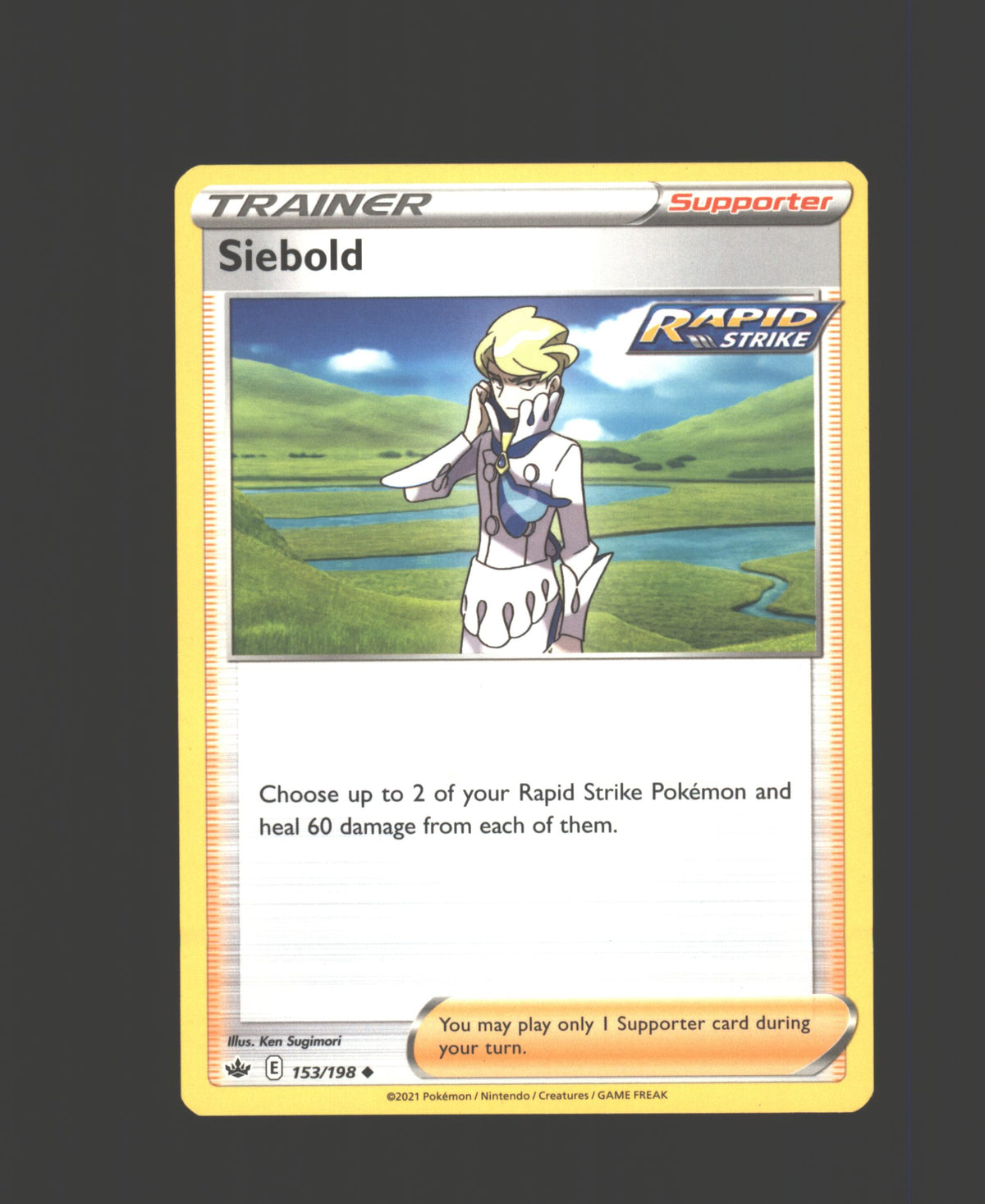 Siebold