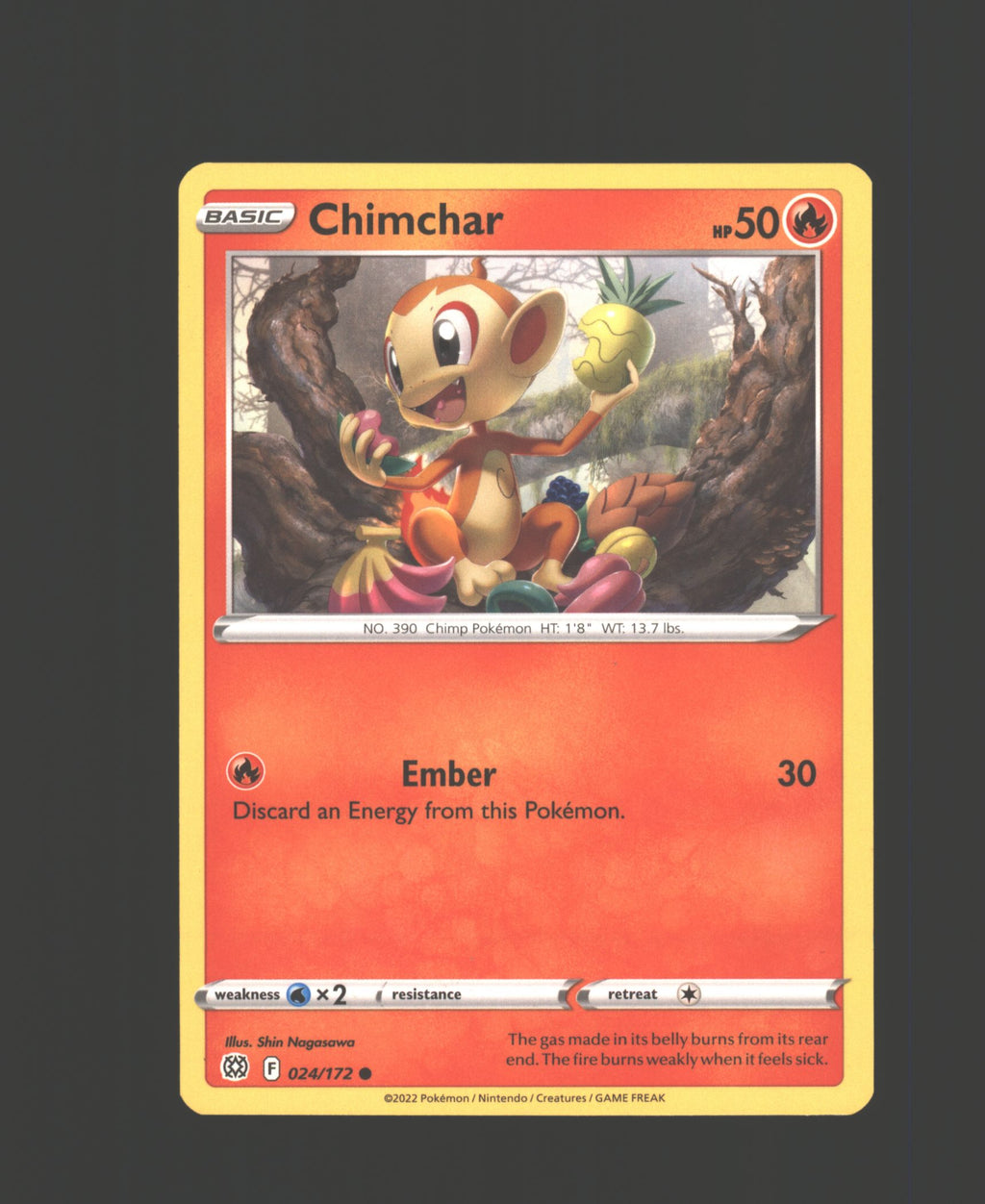 Chimchar