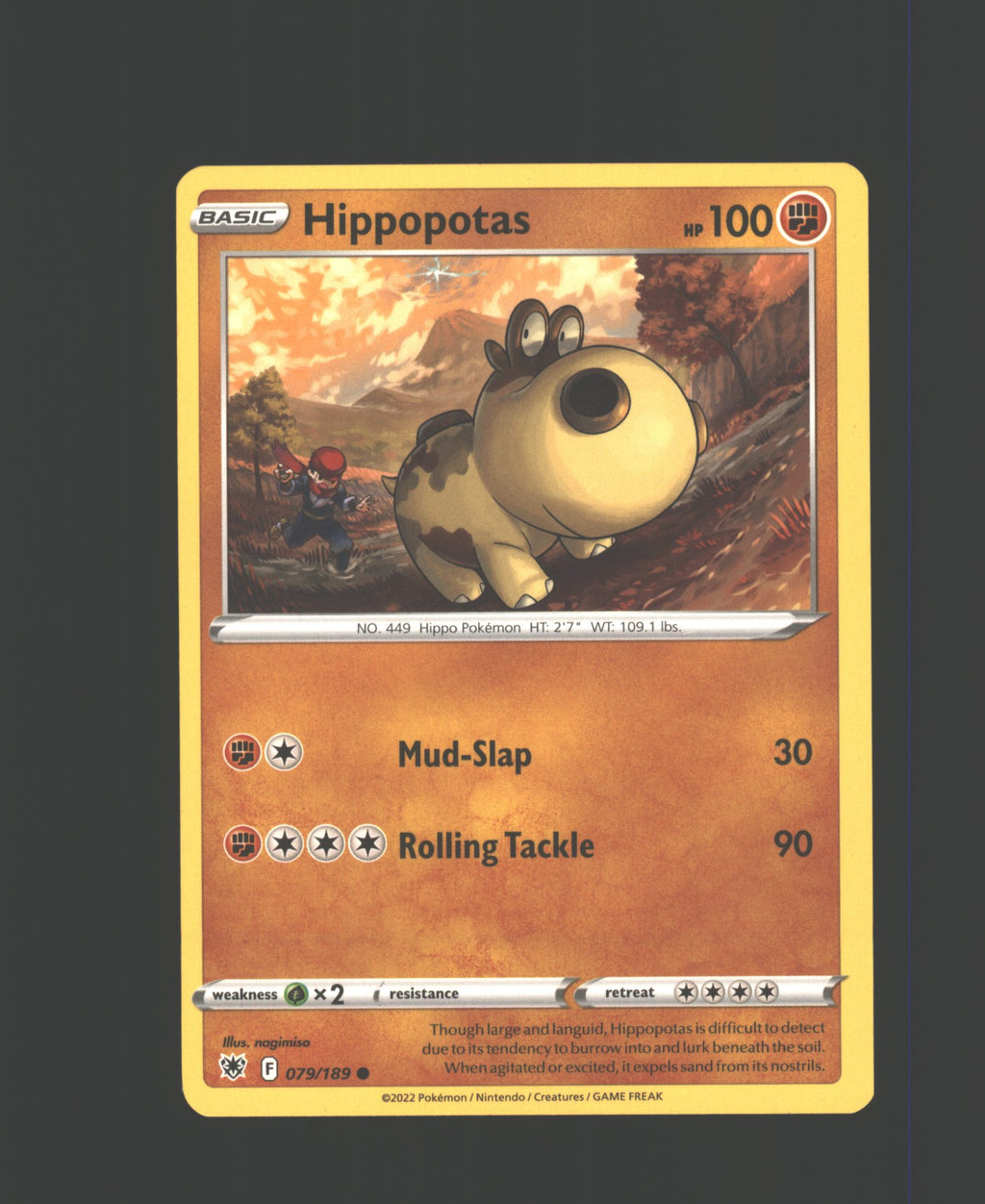 Hippopotas