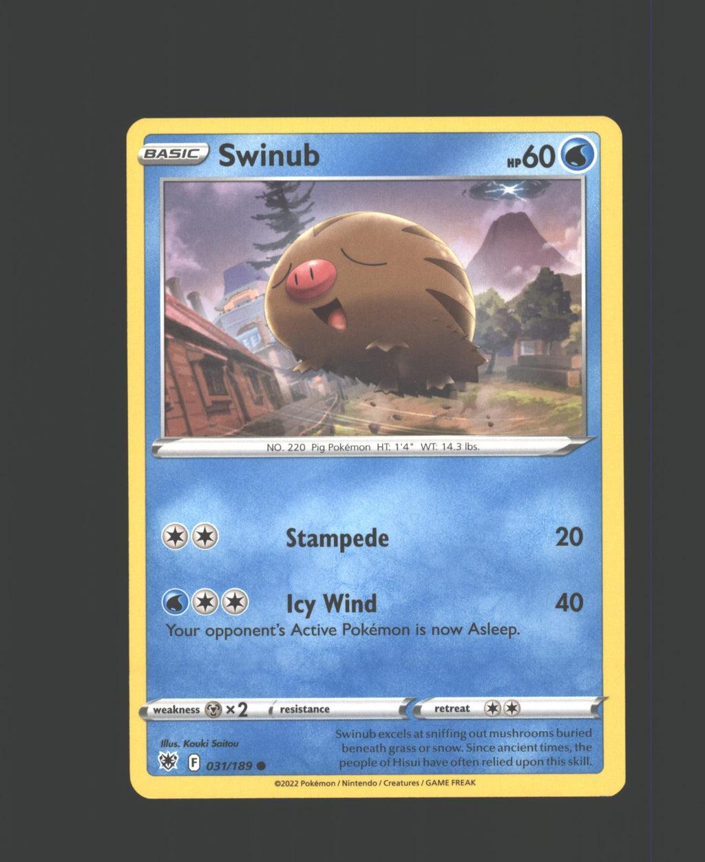 Swinub