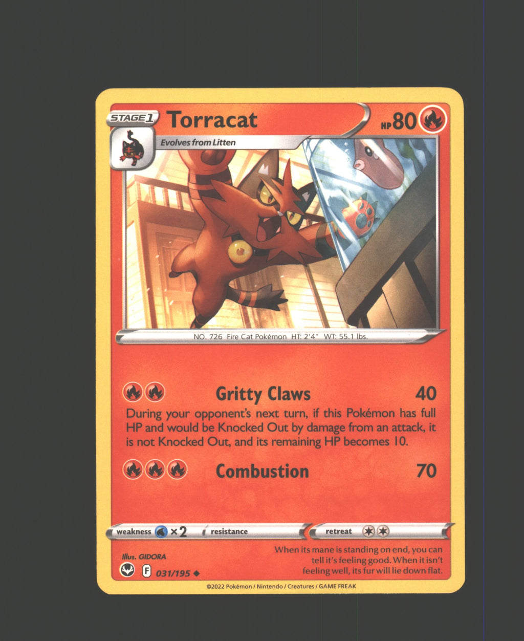 Torracat