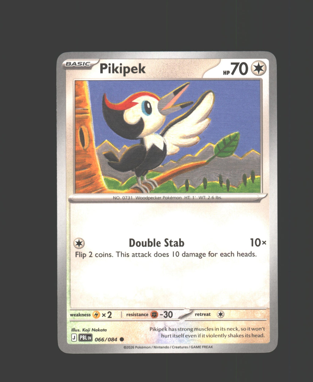 Pikipek