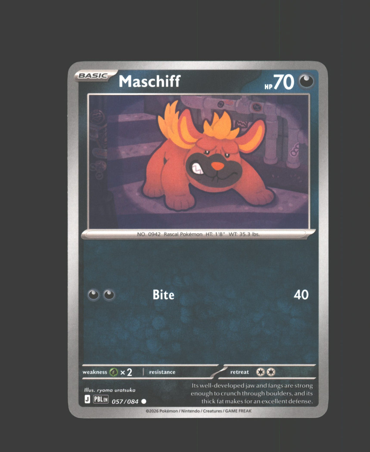 Maschiff