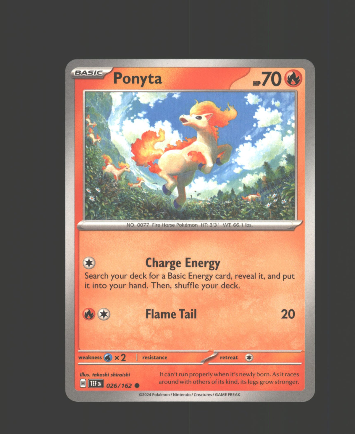 Ponyta