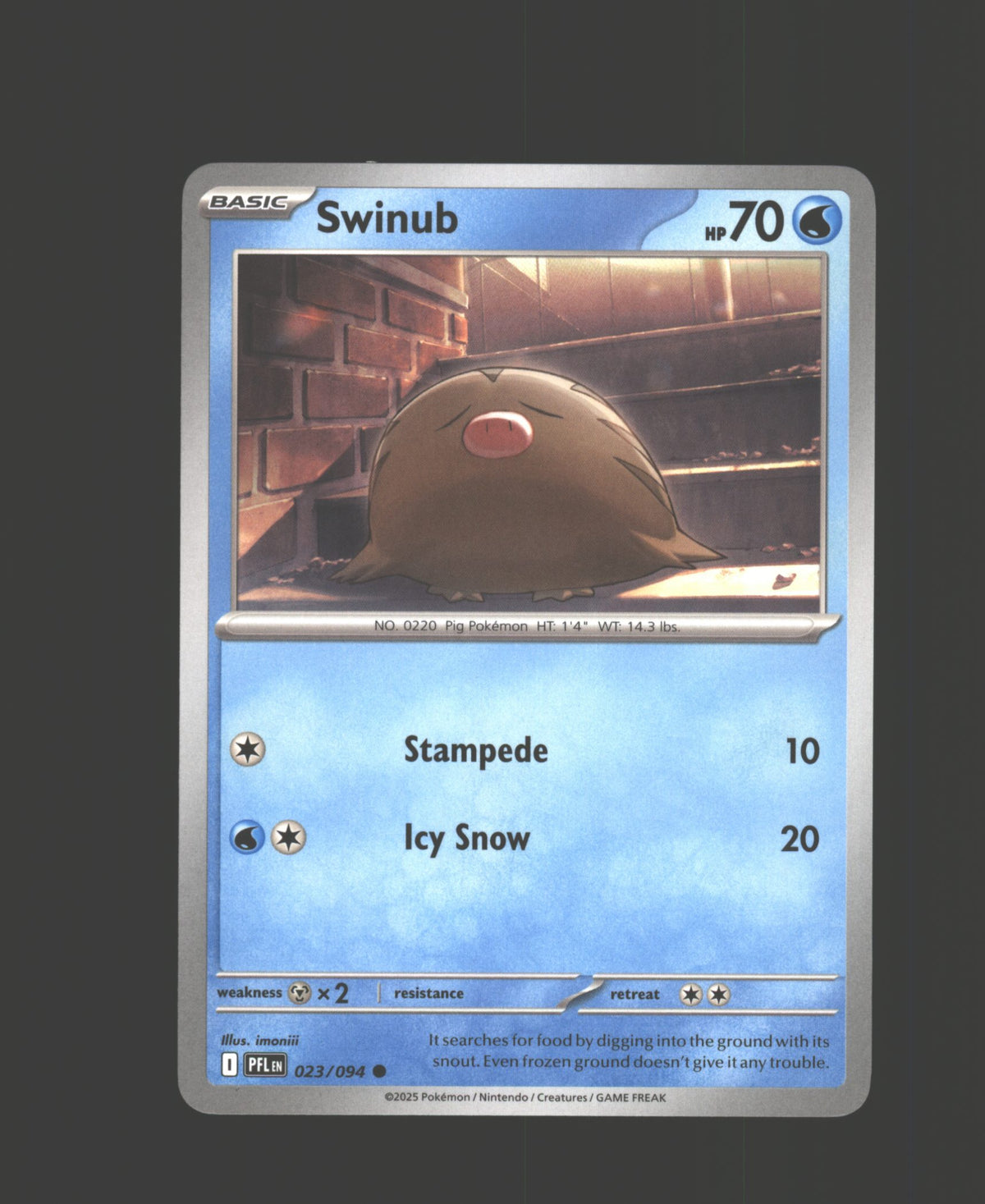 Swinub