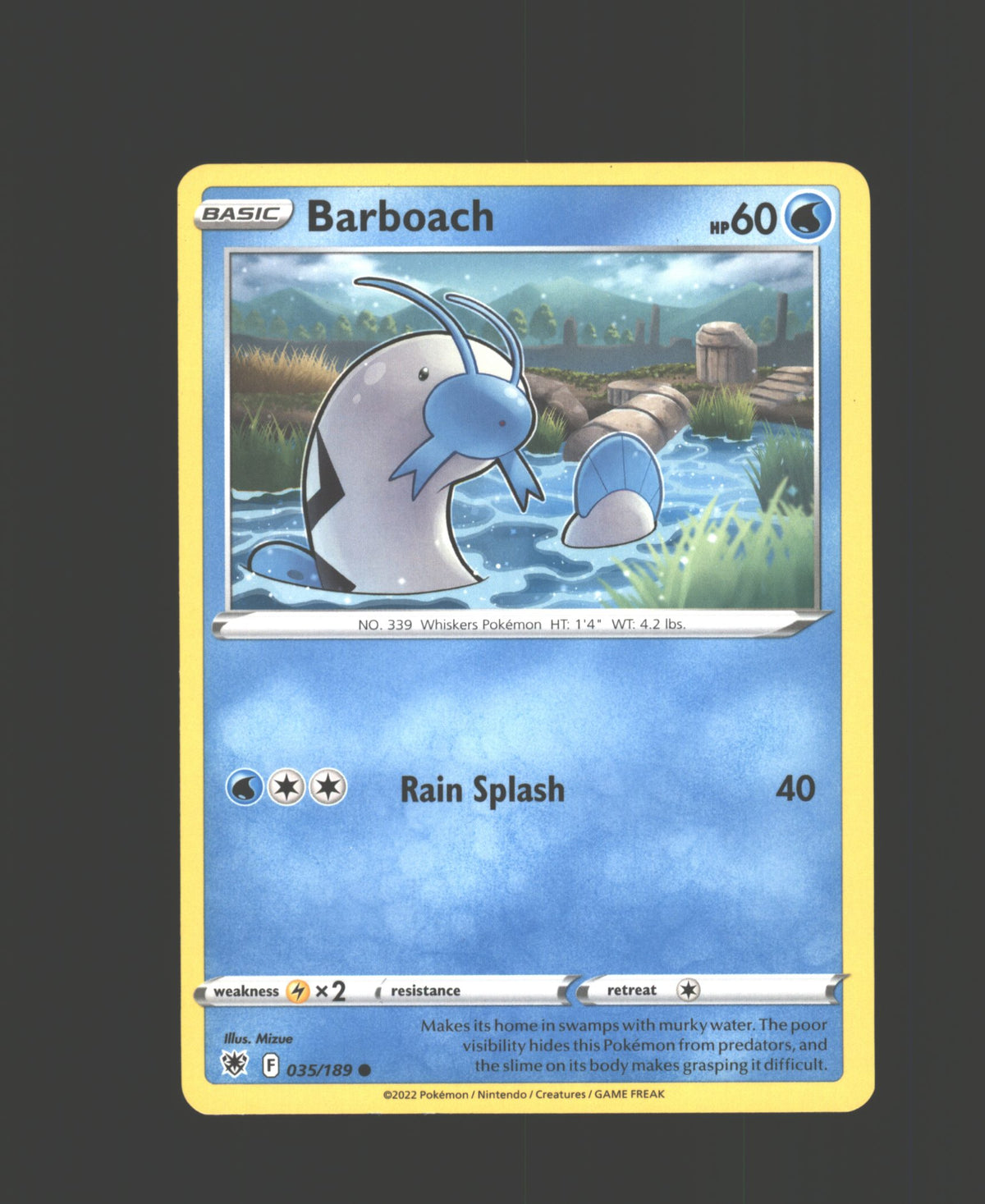 Barboach