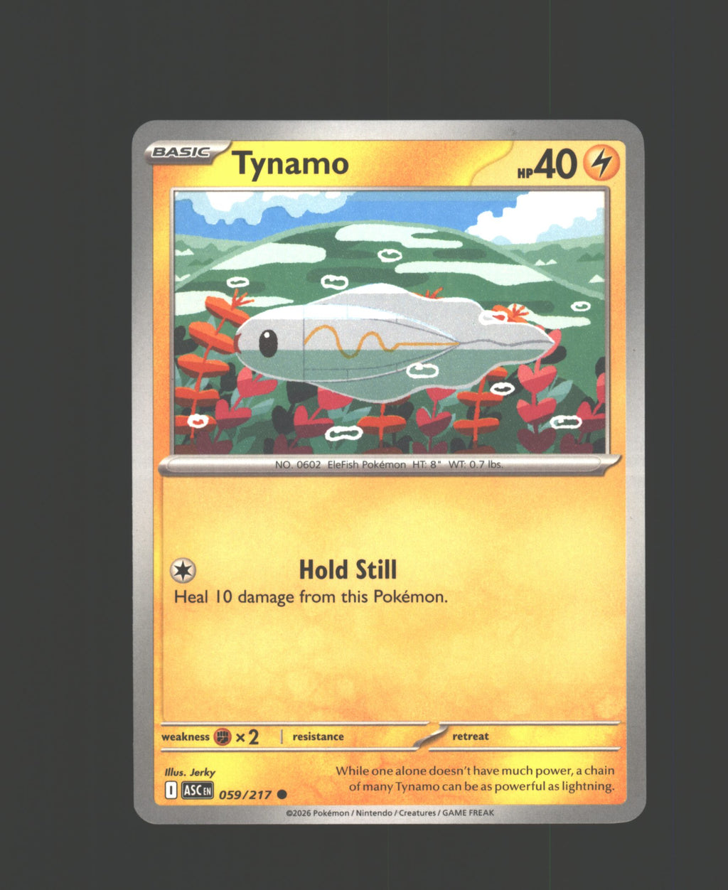 Tynamo