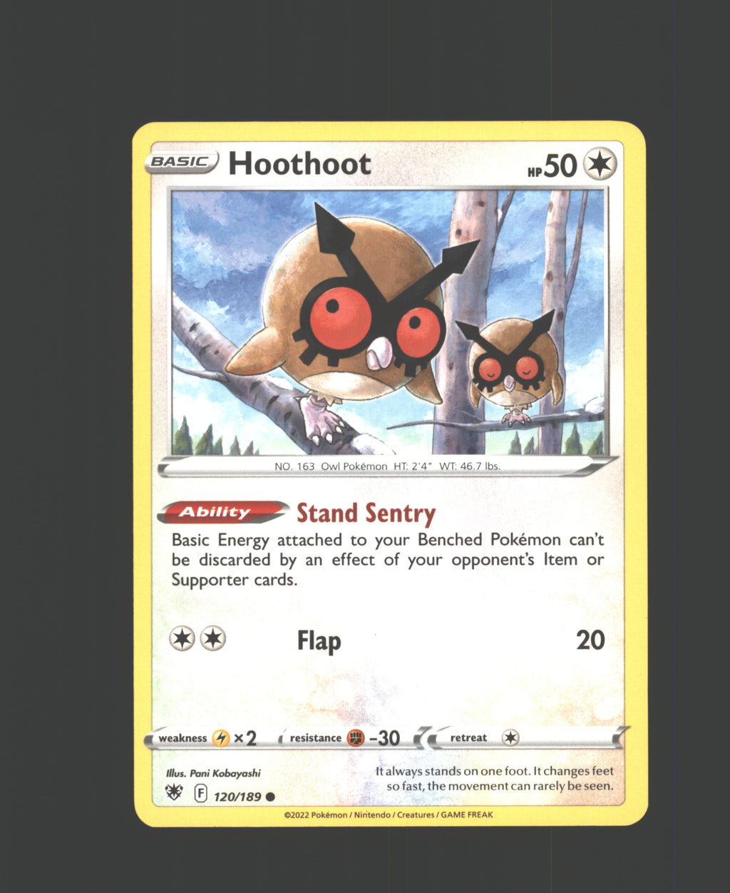 Hoothoot