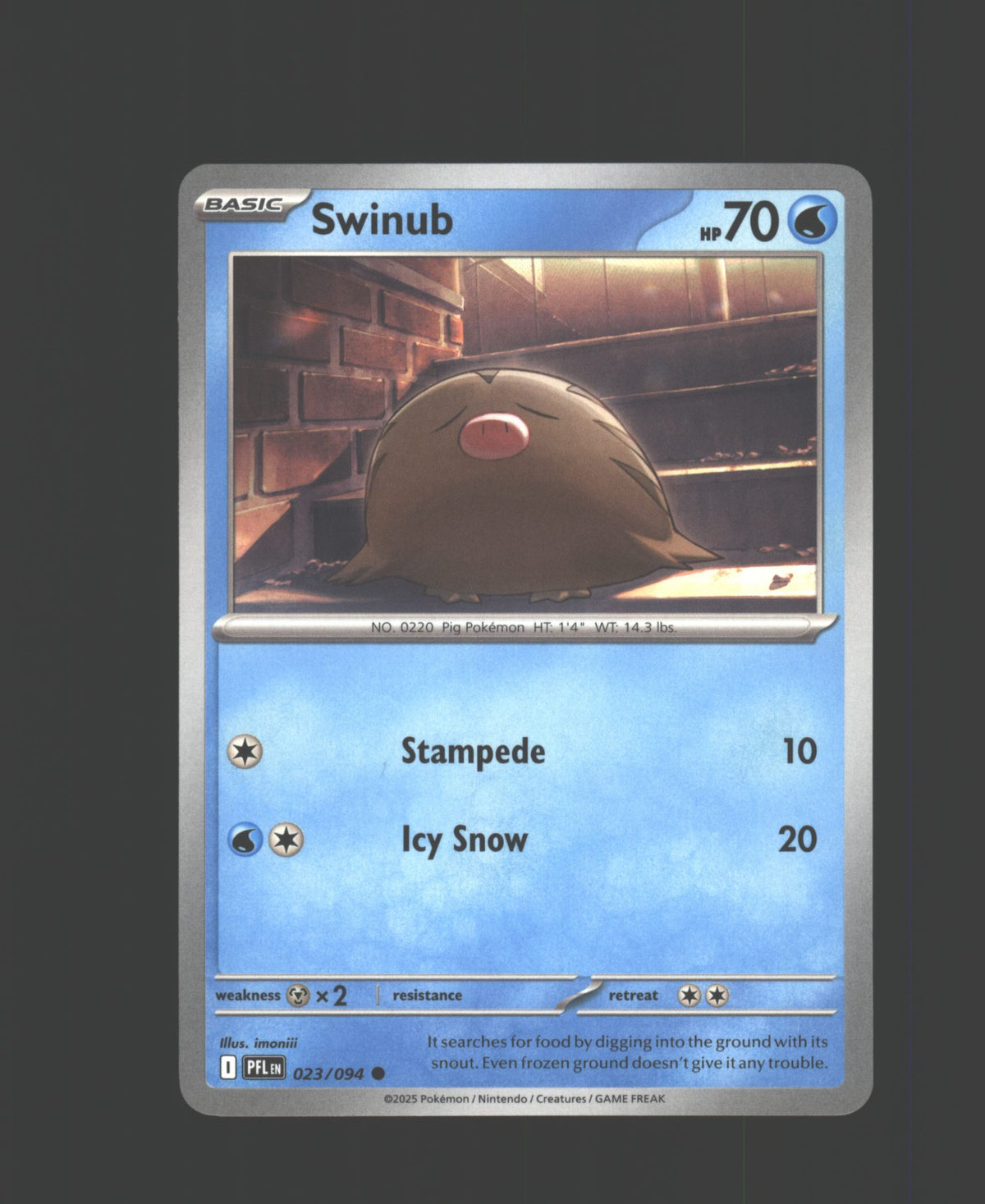 Swinub