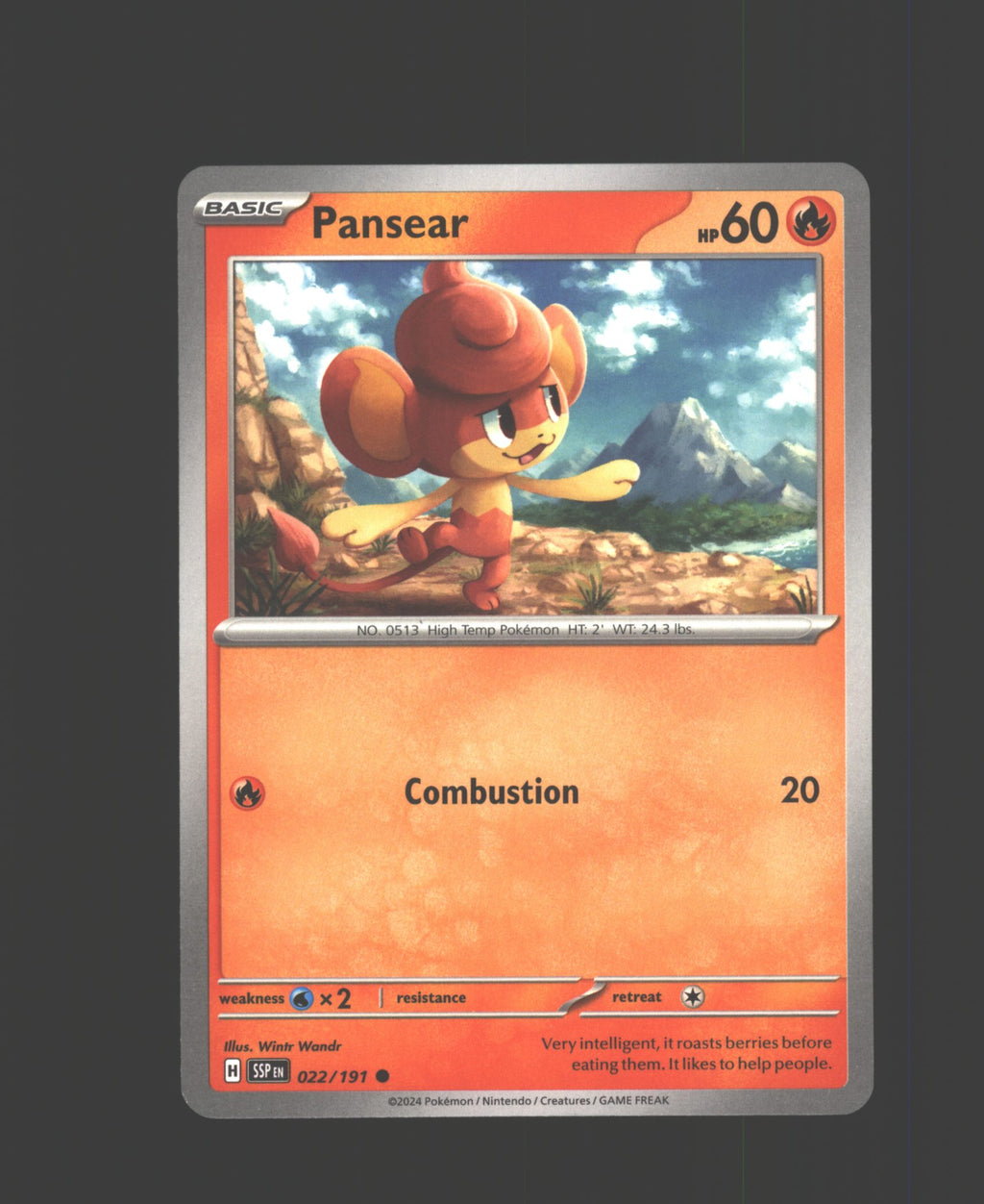 Pansear