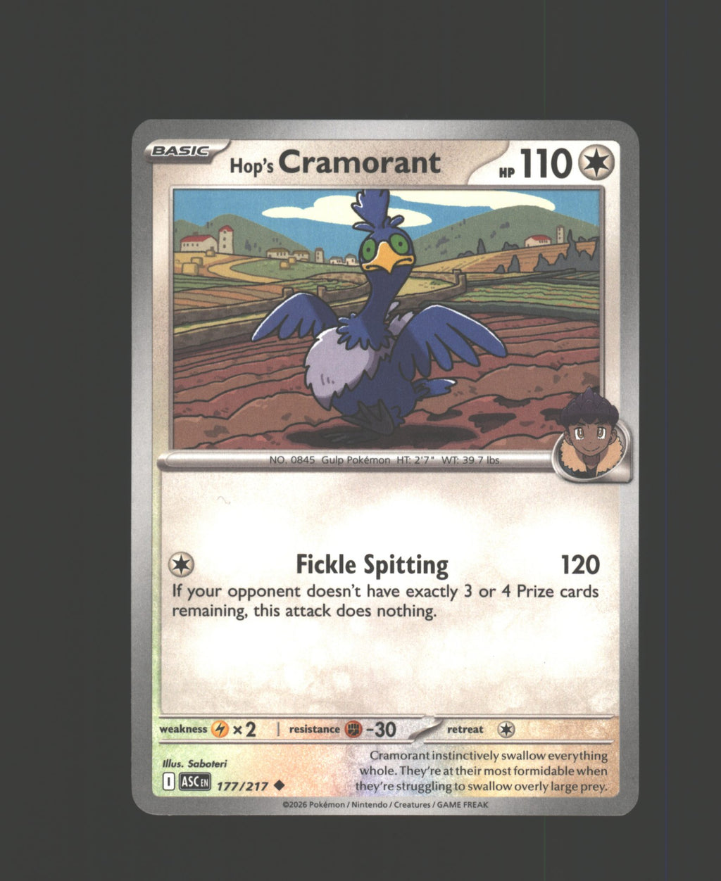 Hop's Cramorant