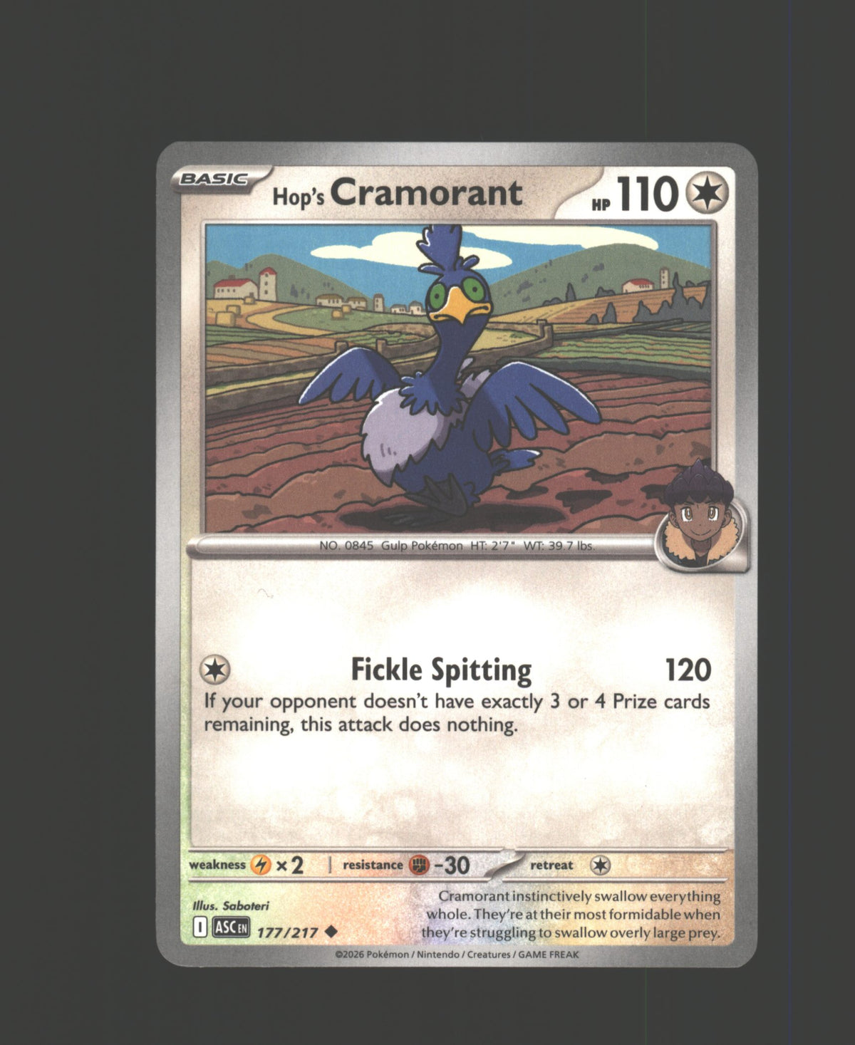 Hop's Cramorant