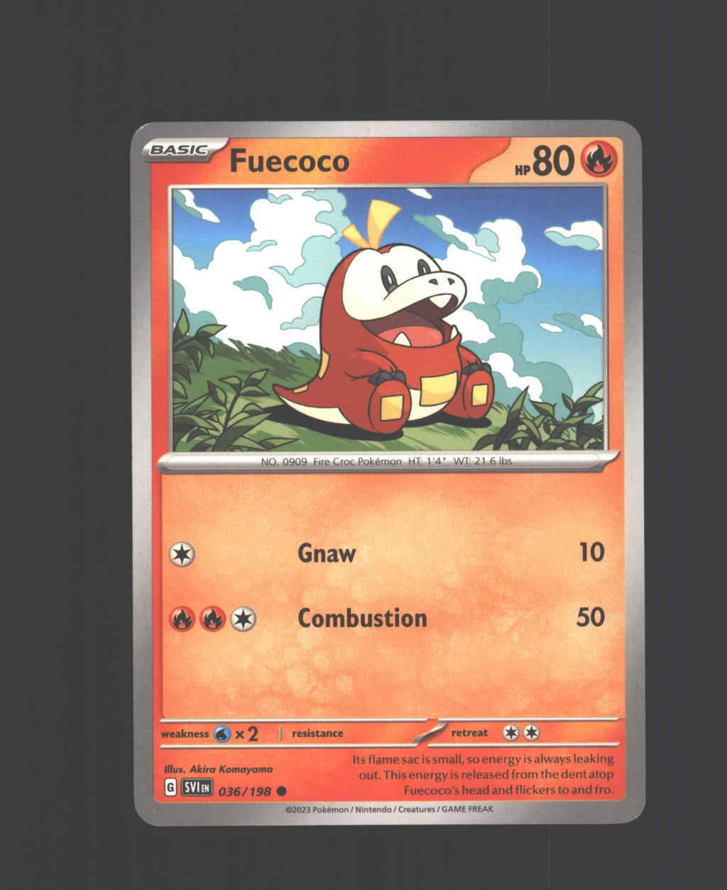 Fuecoco