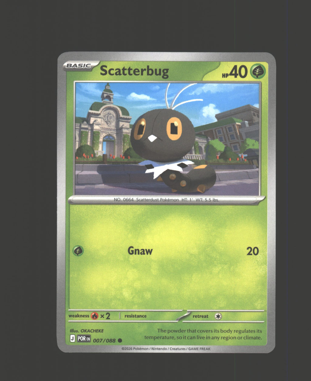 Scatterbug