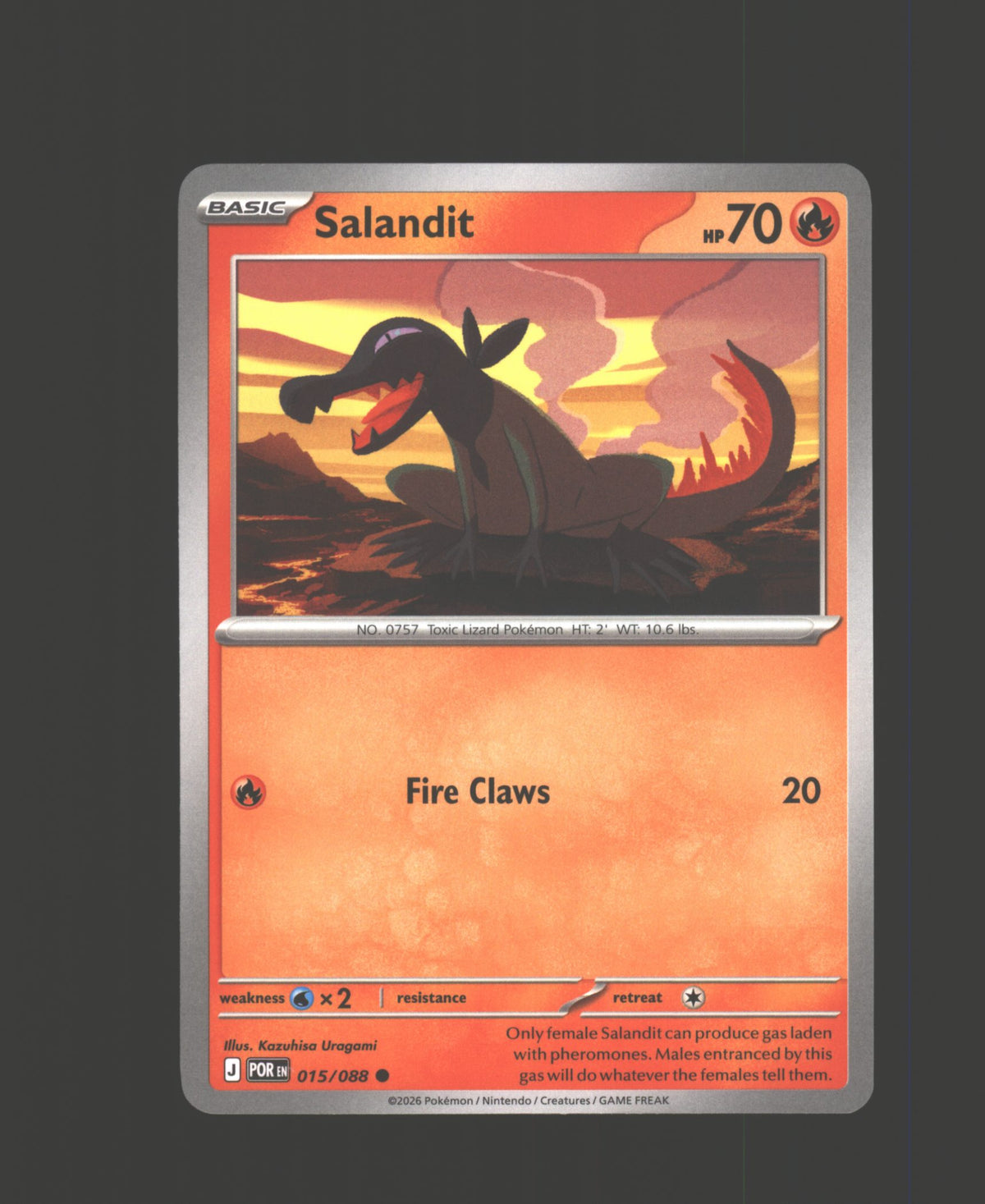 Salandit