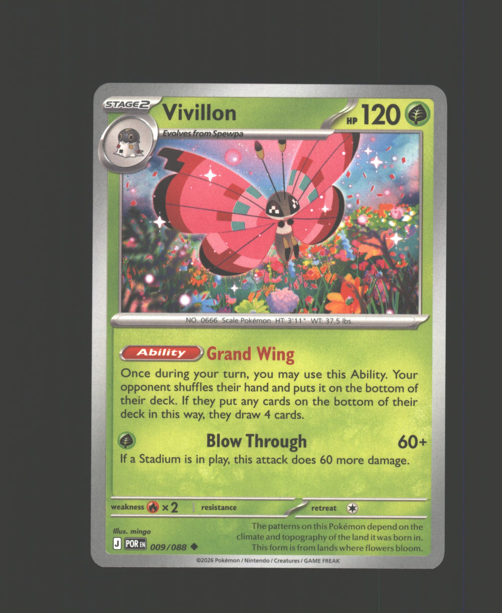 Vivillon