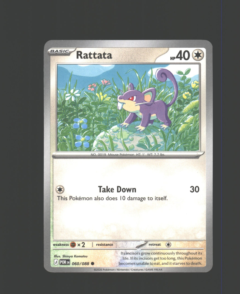 Rattata
