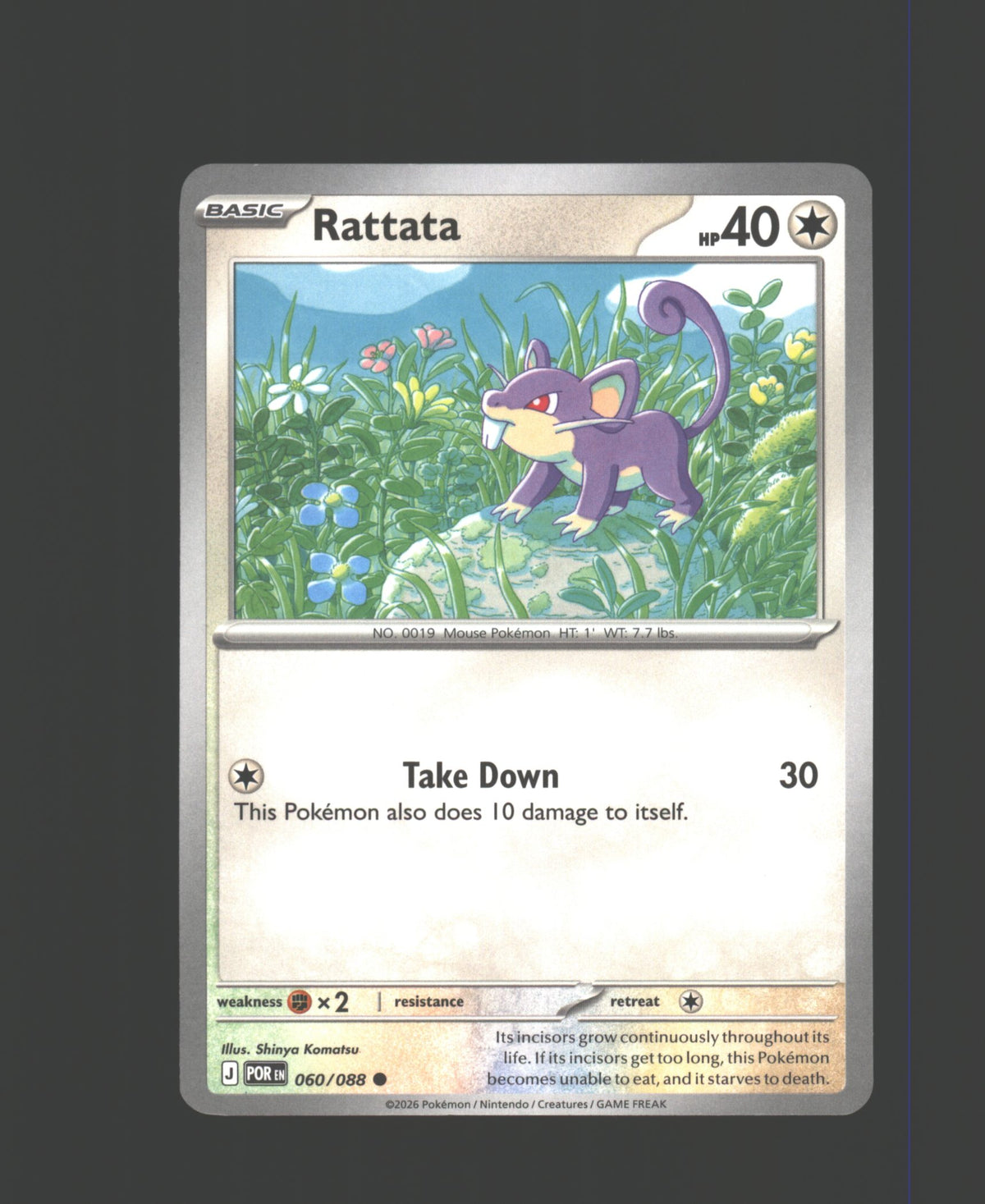 Rattata