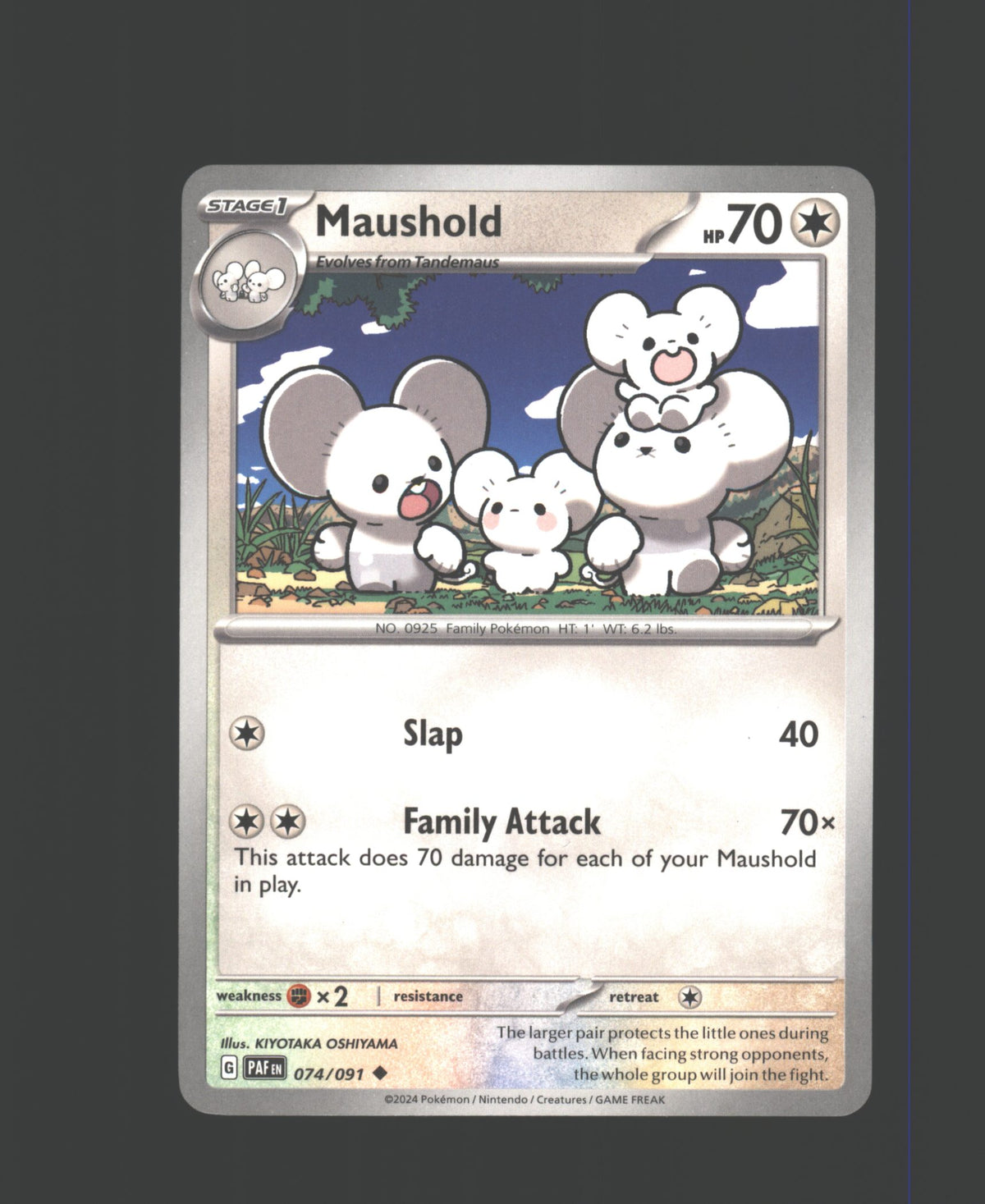 Maushold - 074/091