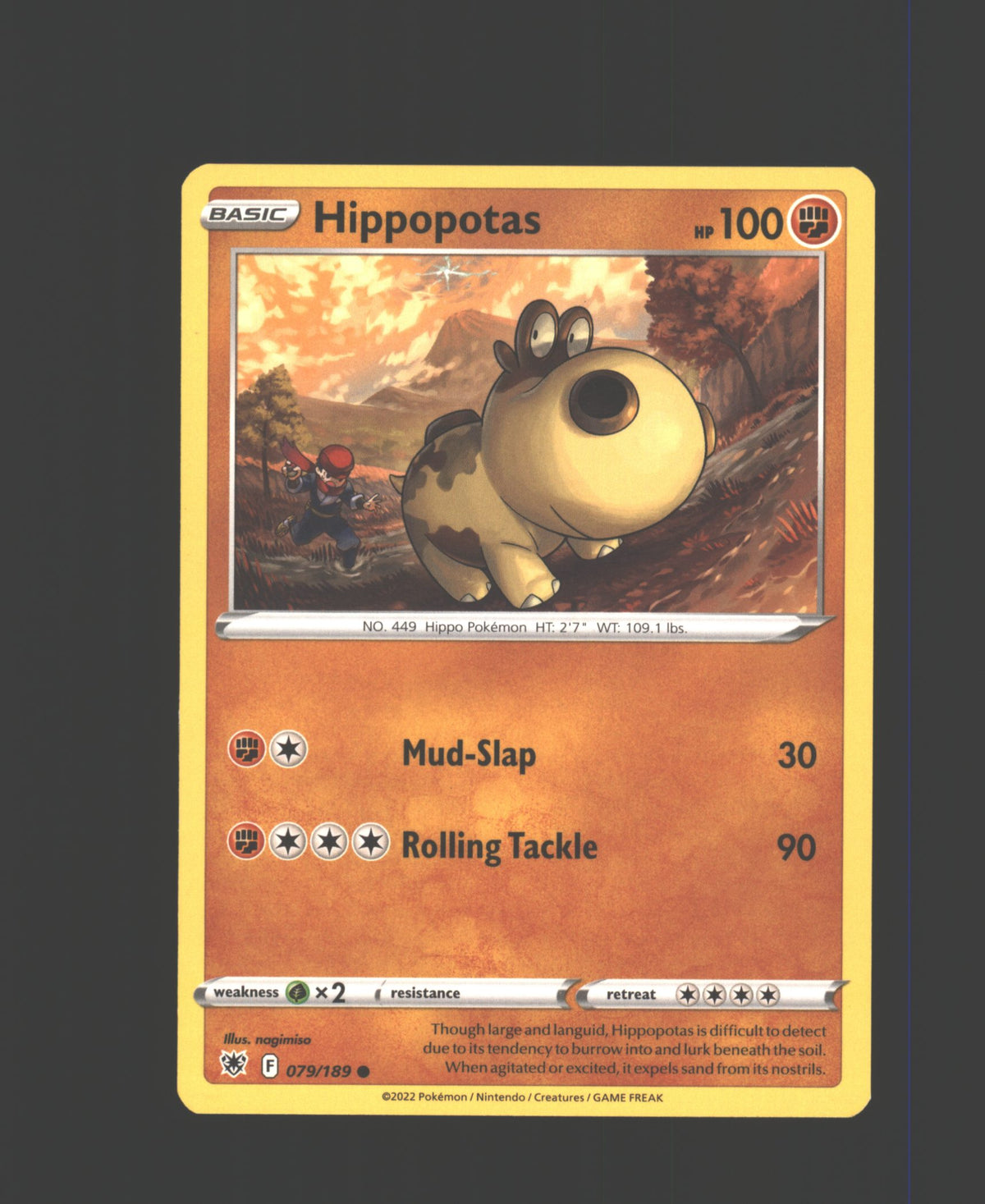 Hippopotas