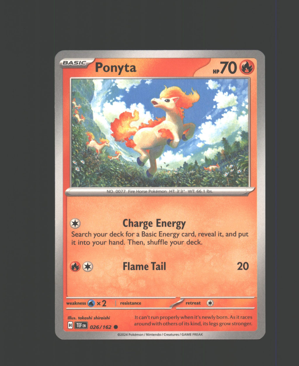 Ponyta