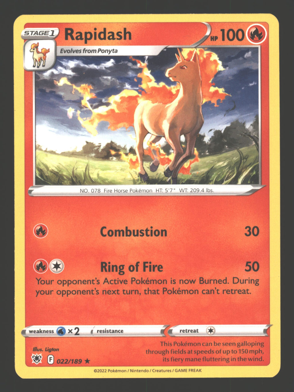 Rapidash