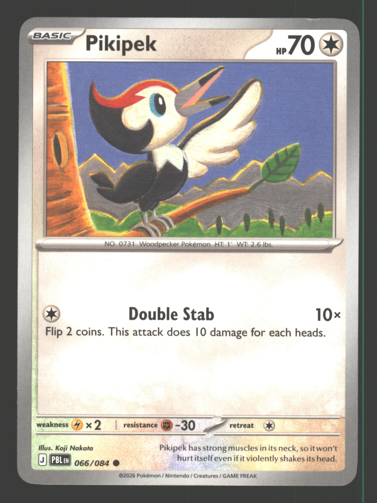 Pikipek
