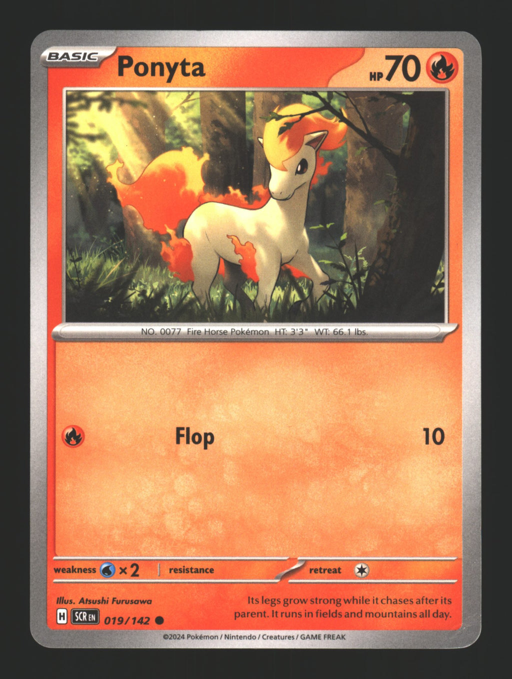 Ponyta
