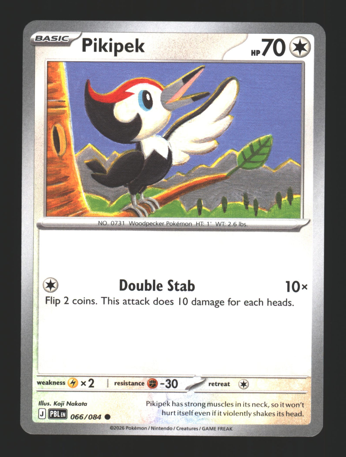 Pikipek